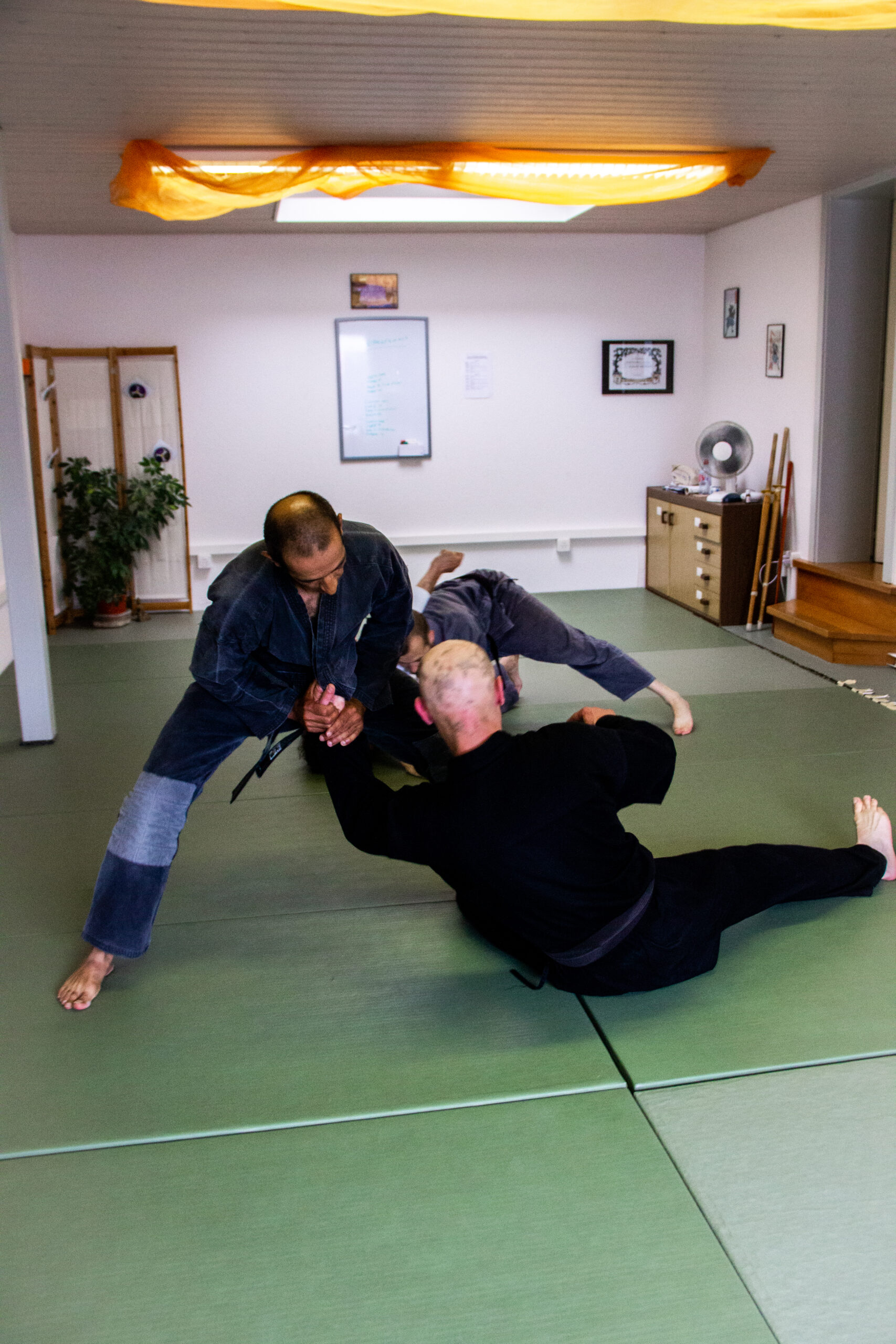 Ninpo Nin-Jutsu Fribourg