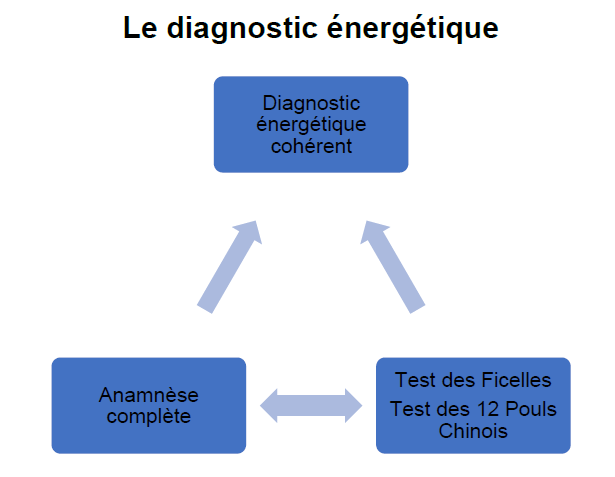 Lire la suite à propos de l’article Shiatsu Holistique : Étape 2 – Bilan global & Diagnostic énergétique*