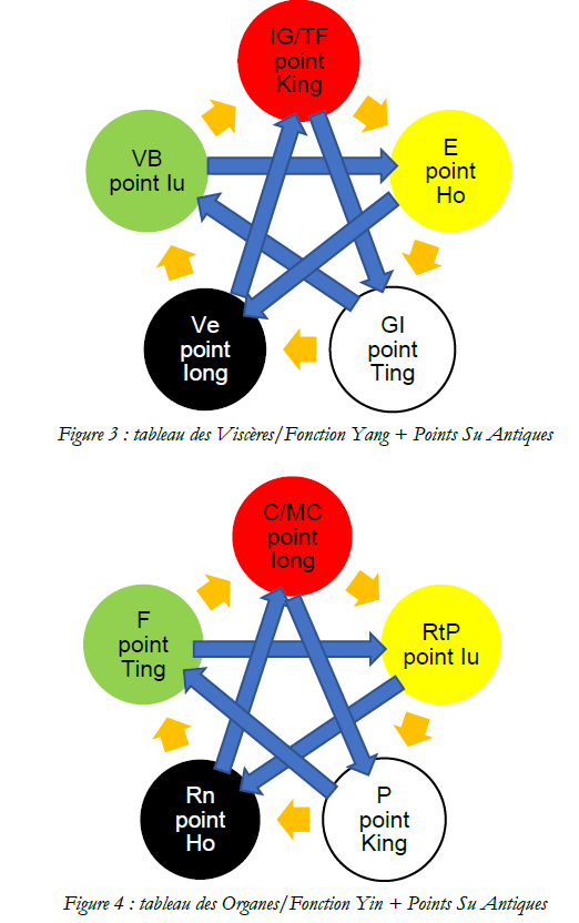 Lire la suite à propos de l’article Shiatsu Holistique : Étape 3 – Traitements spécifiques & points d’énergie*