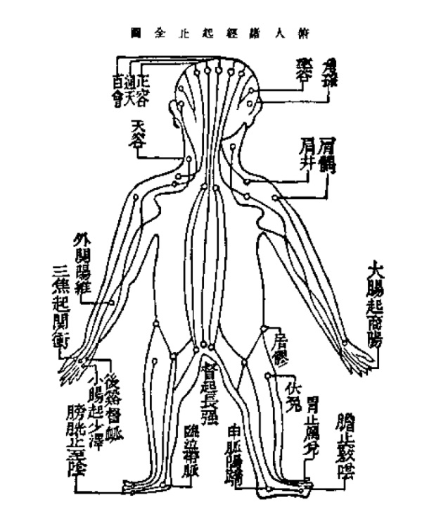 Lire la suite à propos de l’article Les Douze Méridiens d’acupuncture — bases et symbolique en Shiatsu Holistique (Posieux)