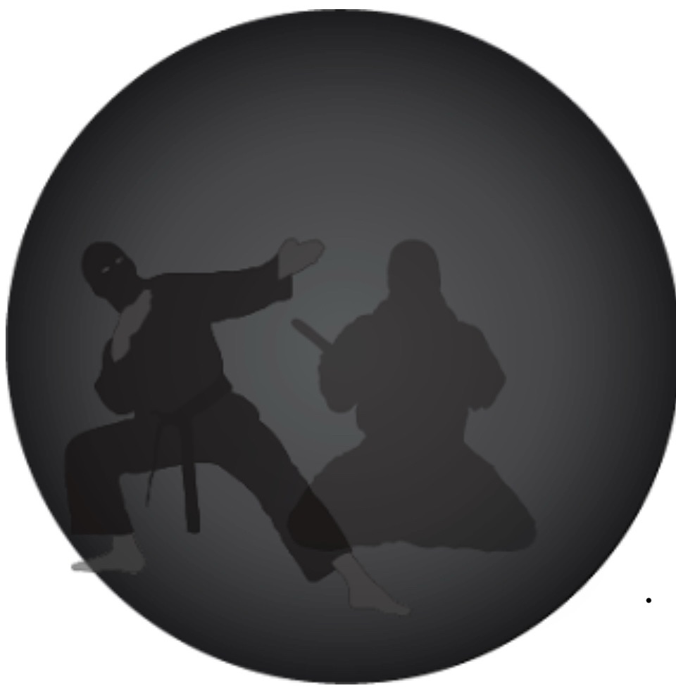 Lire la suite à propos de l’article École de Ninpo Nin-Jutsu : calendrier 2025-26 — cours, stages & semaines intensives (Posieux, Fribourg)