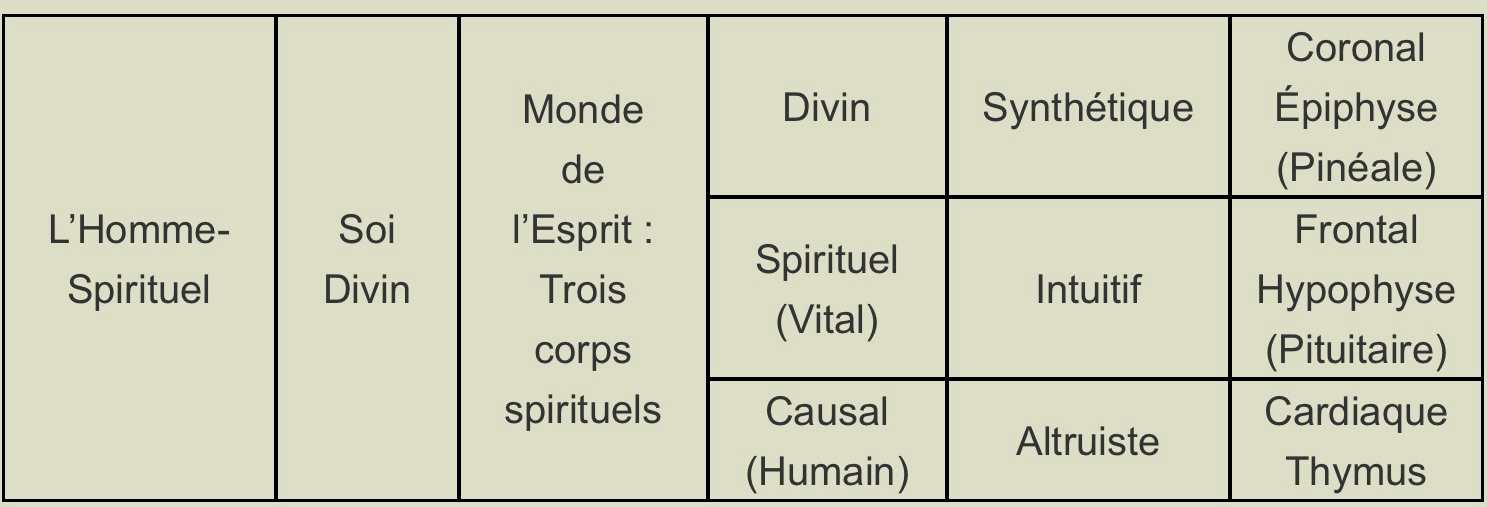 L'Homme-Spirituel les 3 corps subtils de l'Homme-Spirituel ou l'Âme
