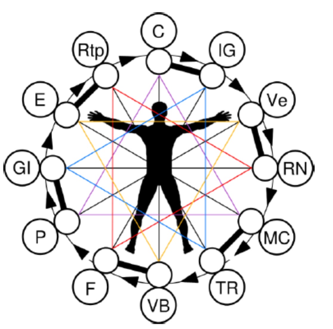 Lire la suite à propos de l’article L’utilisation de l’ÉNERGIE VITALE (Article 2)