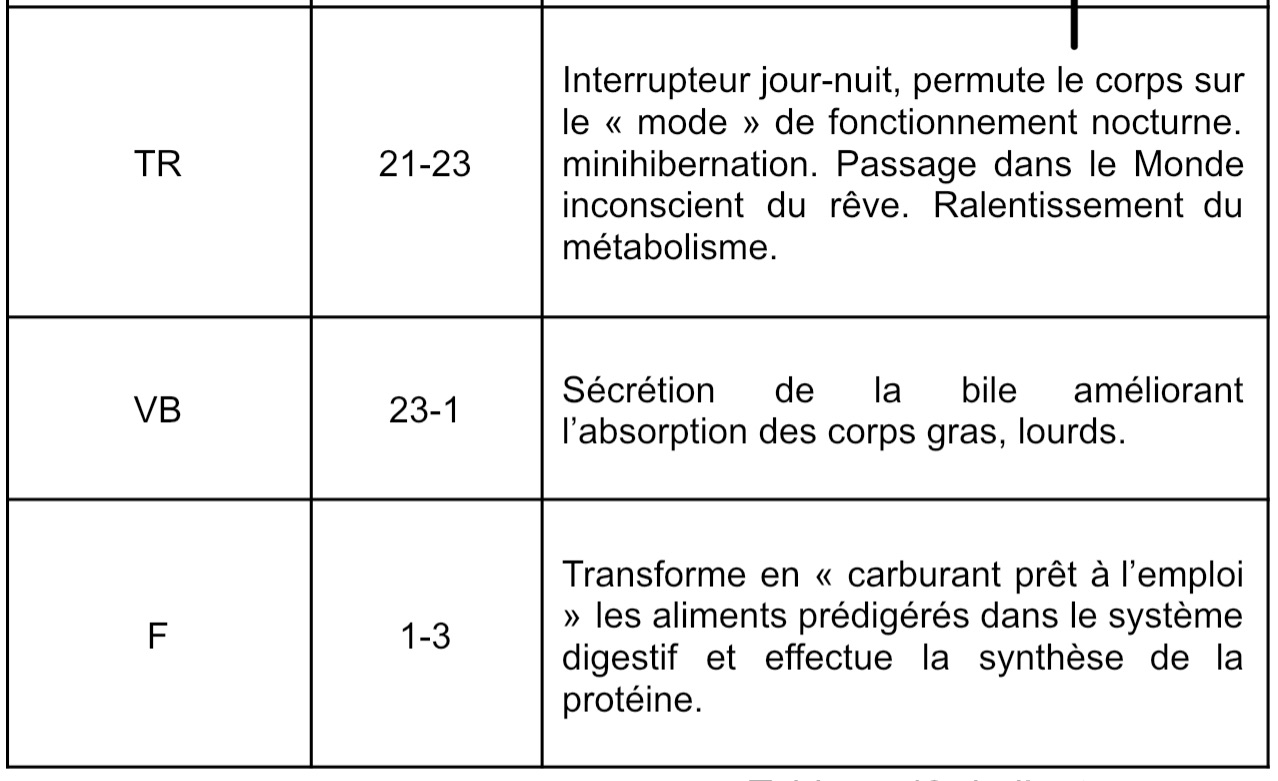Chaque méridien correspond à une émotion et à une pensée