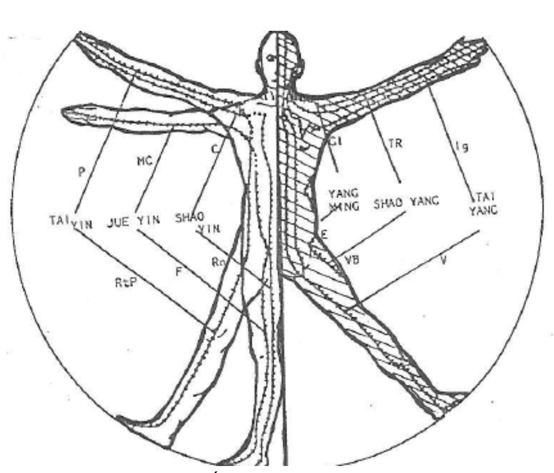 Lire la suite à propos de l’article Les Cinq Éléments, les Six Qualités du Ciel et les Hormones