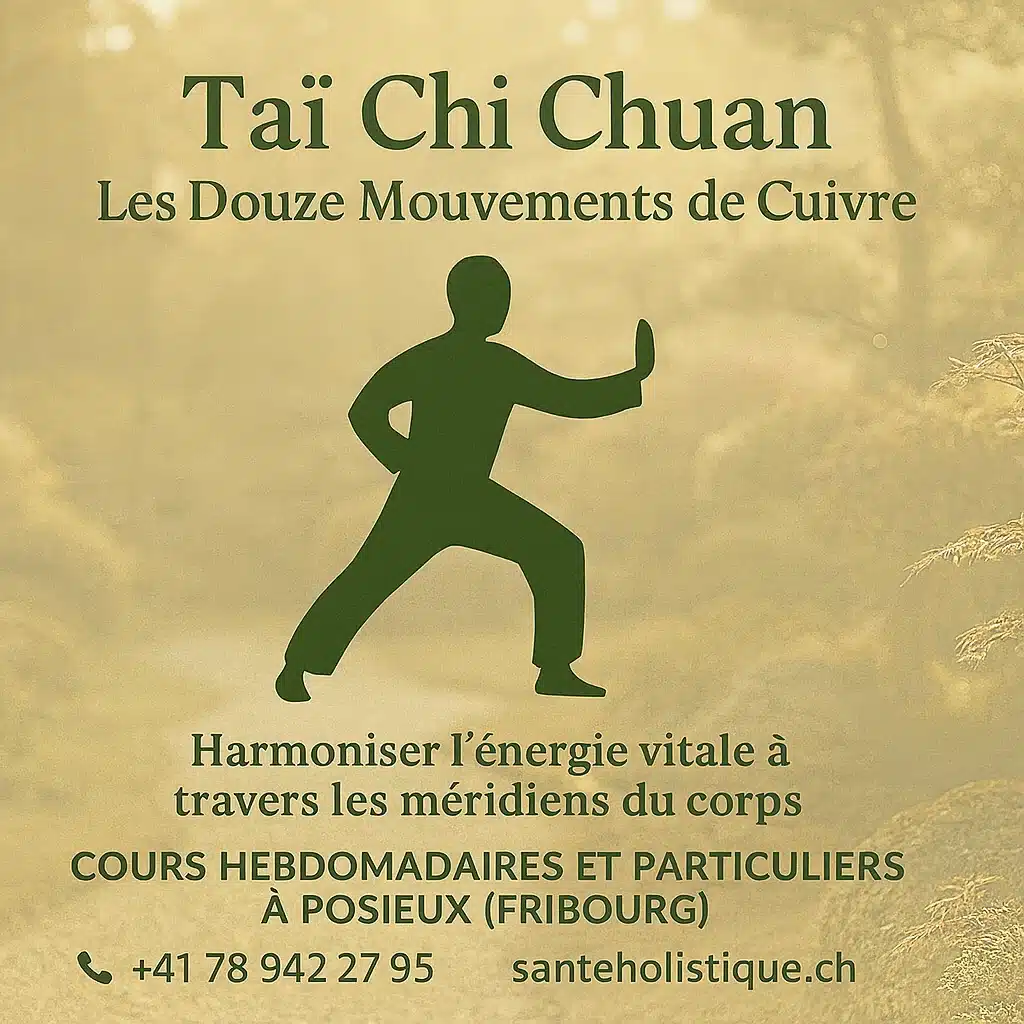 You are currently viewing ? Taï Chi Chuan – Les Douze Mouvements de Cuivre