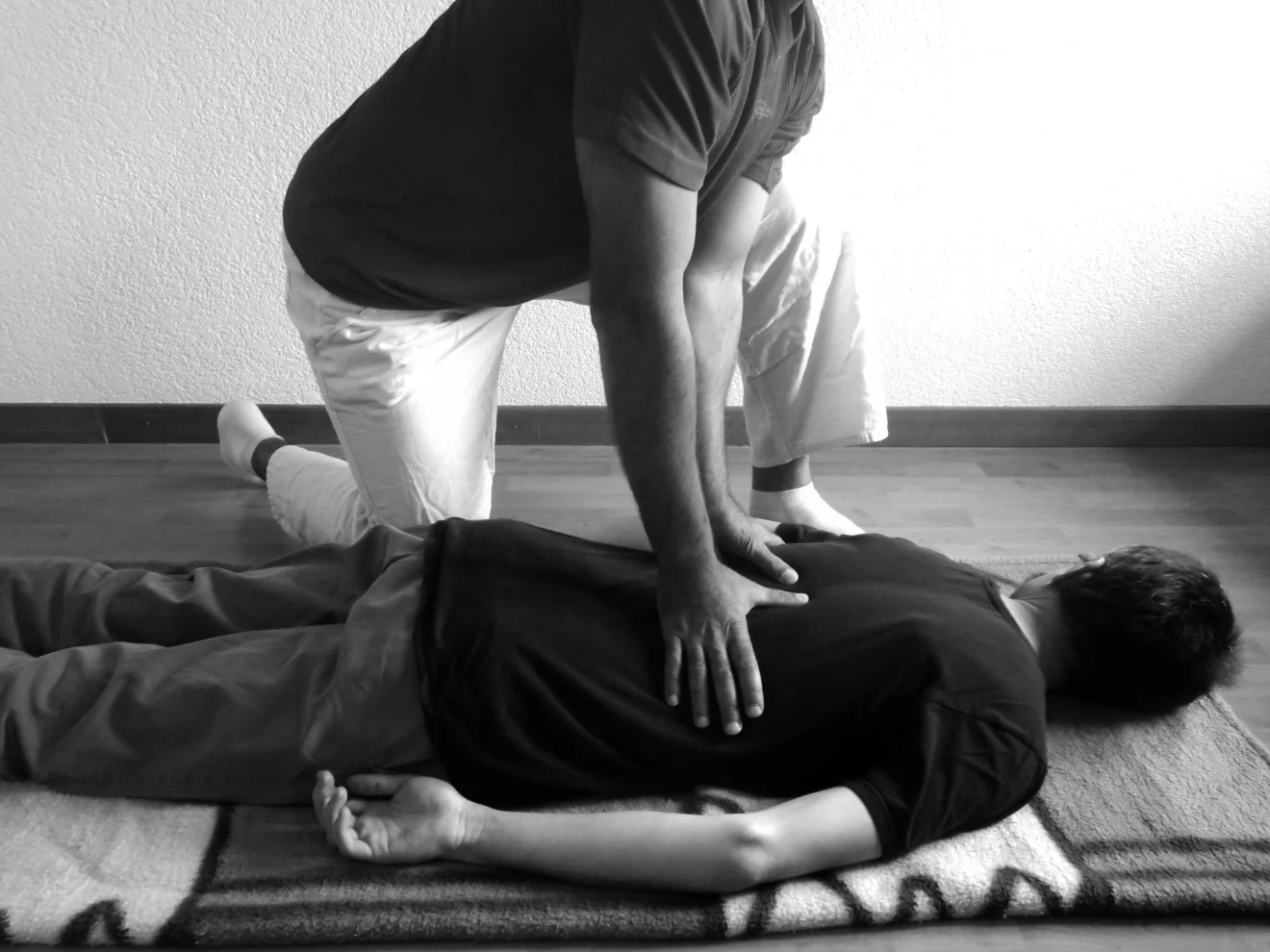 IMG_2931 Cabinet Shiatsu Holistique, Posieux / Suisse