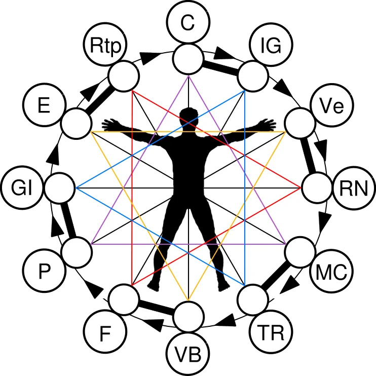 Lire la suite à propos de l’article L’Être Humain est le trait d’union entre la Terre et le Ciel. (article 3)