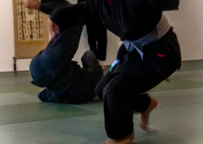 École de Ninpo Nin-Jutsu à Posieux (Fribourg) depuis 1991. Art martial japonais interne, self-défense, maîtrise de soi & énergie vitale. Enfants & adultes.