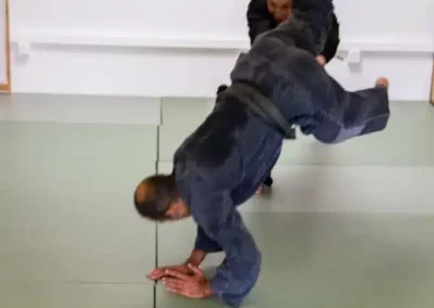 Le Ninpo Nin-Jutsu est un art martial interne japonais millénaire fondé sur le principe de la Non-Résistance. À l'image du roseau qui ploie sous la tempête pour mieux se redresser, notre pratique privilégie l'intelligence du mouvement, la fluidité et l'adaptation.