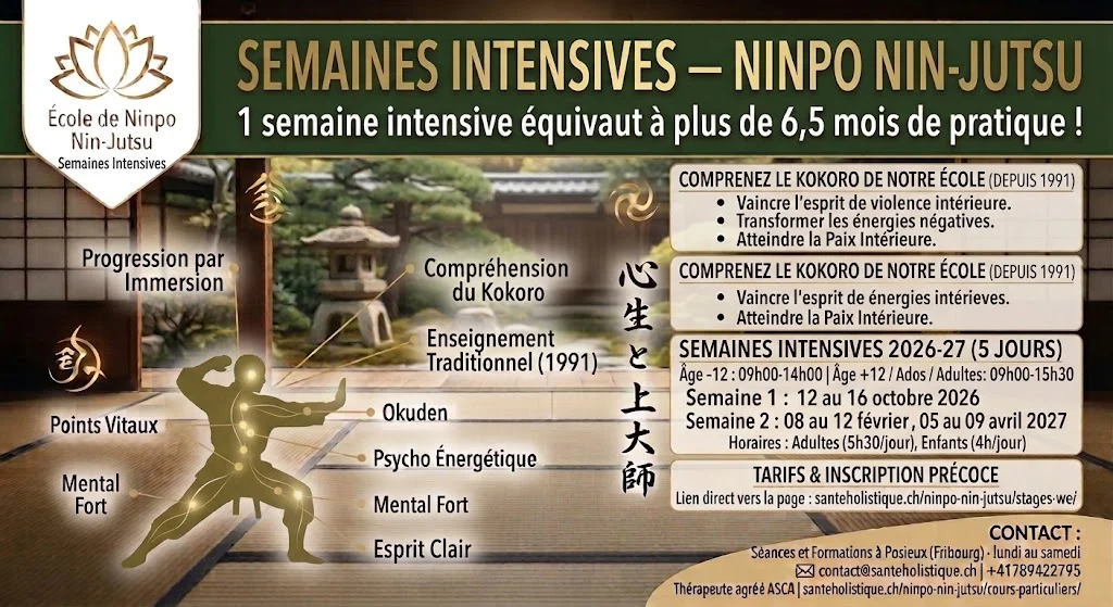 Semaines intensives de Ninpo Nin-Jutsu à Posieux (Fribourg). 5 jours d'immersion équivalant à 6,5 mois de cours. Enfants & adultes. Prochaines dates 2026-27.