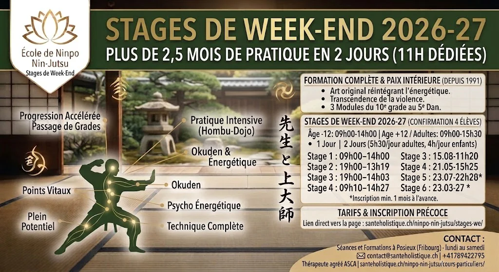 Stages intensifs de Ninpo Nin-Jutsu à Posieux (Fribourg). L'équivalent de 2,5 mois de cours en 2 jours. Enfants, ados & adultes. Inscriptions 2026-27.